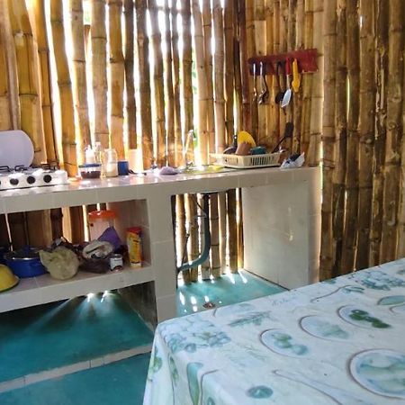 Villas Del Carmen Hostal Palenque Εξωτερικό φωτογραφία